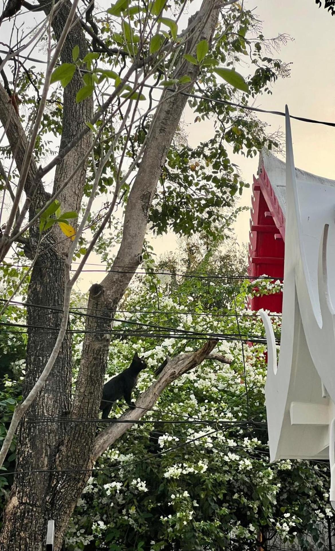Baan Debtida Hotell Bangkok Exteriör bild