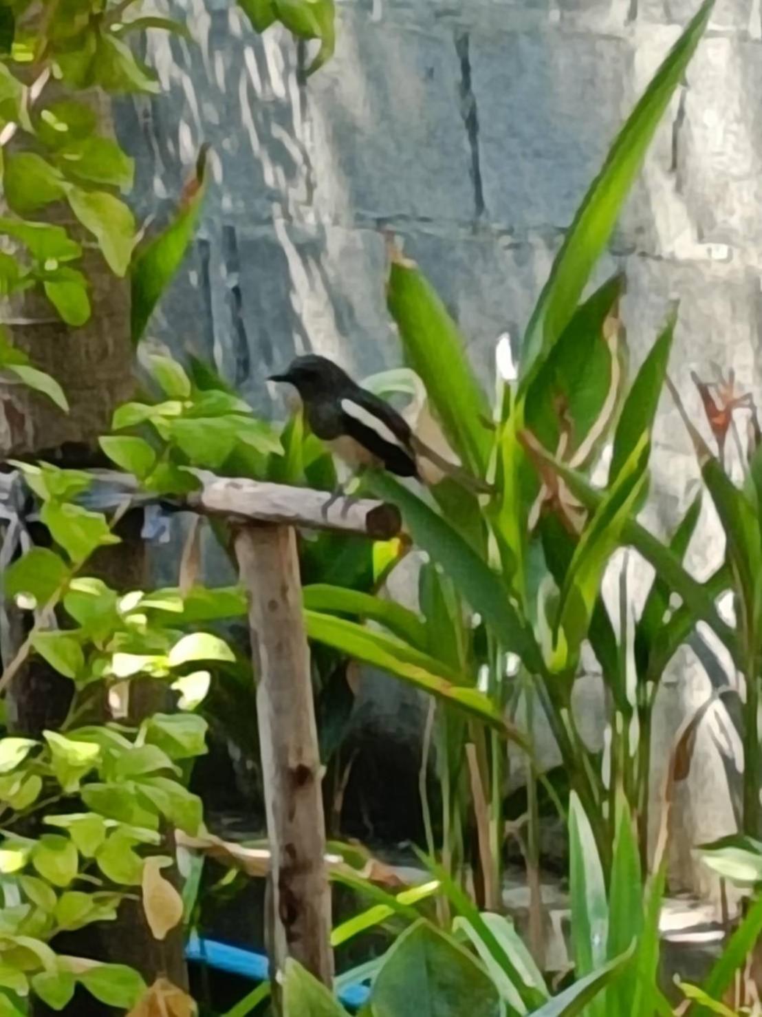 Baan Debtida Hotell Bangkok Exteriör bild