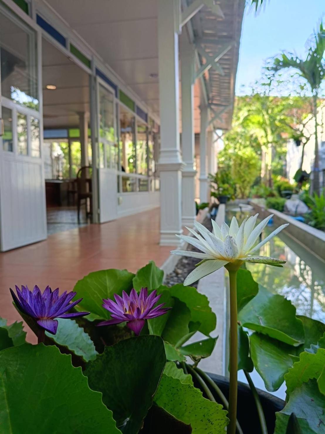 Baan Debtida Hotell Bangkok Exteriör bild