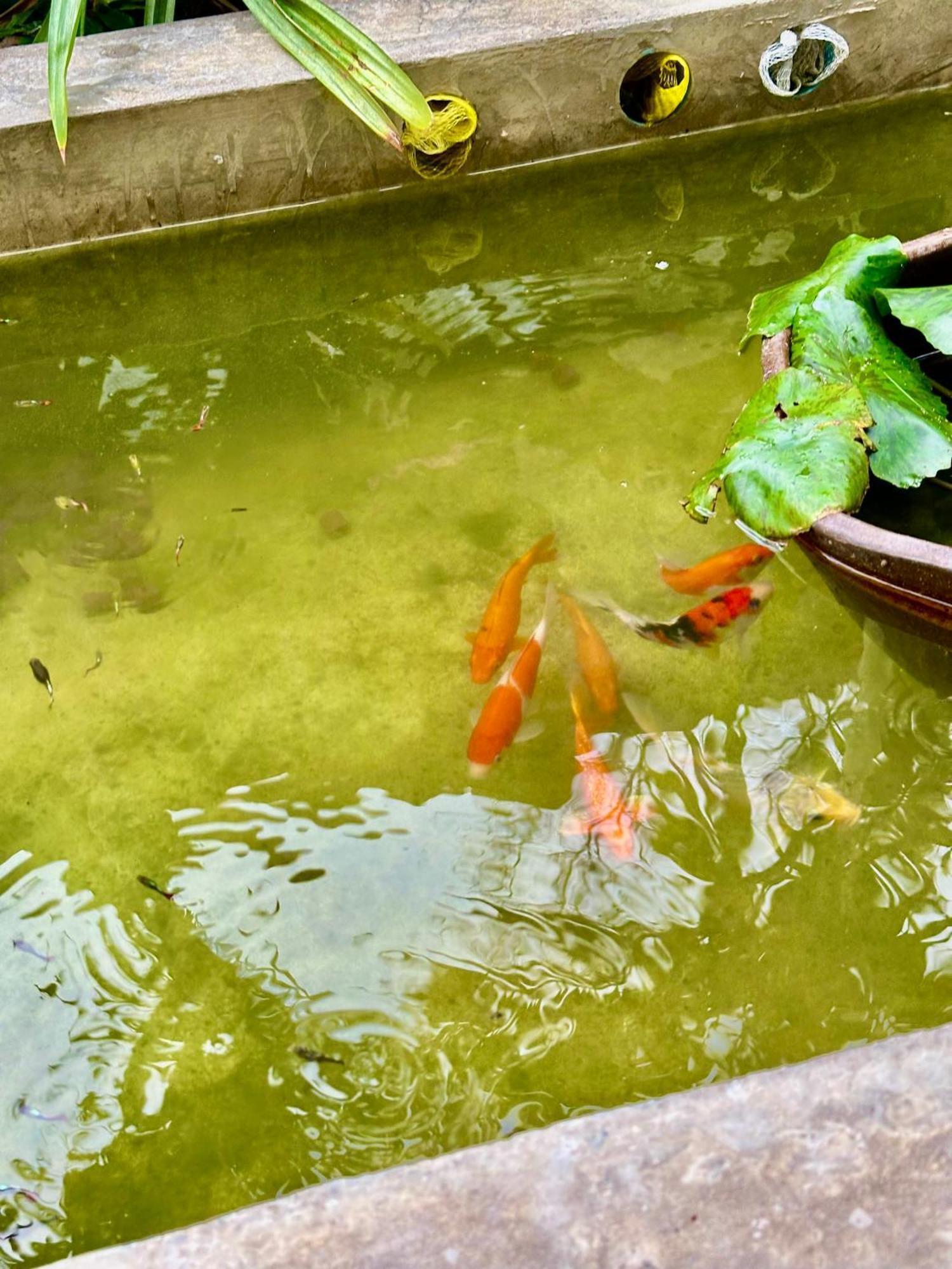 Baan Debtida Hotell Bangkok Exteriör bild